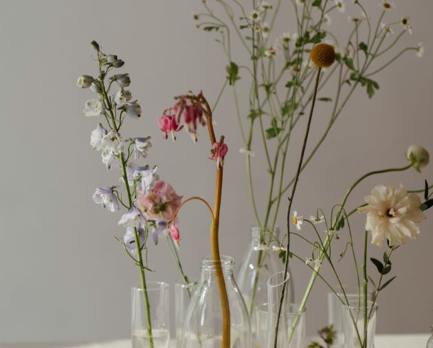 Entendiendo mi ansiedad