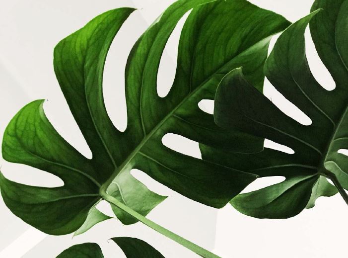 Lista Diaria No Negociable